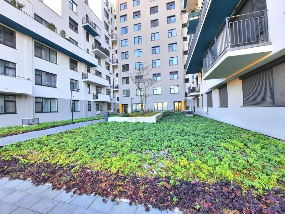 Beautiful Panoramic Central Apartment - City Of Mara Timisoara Luaran gambar