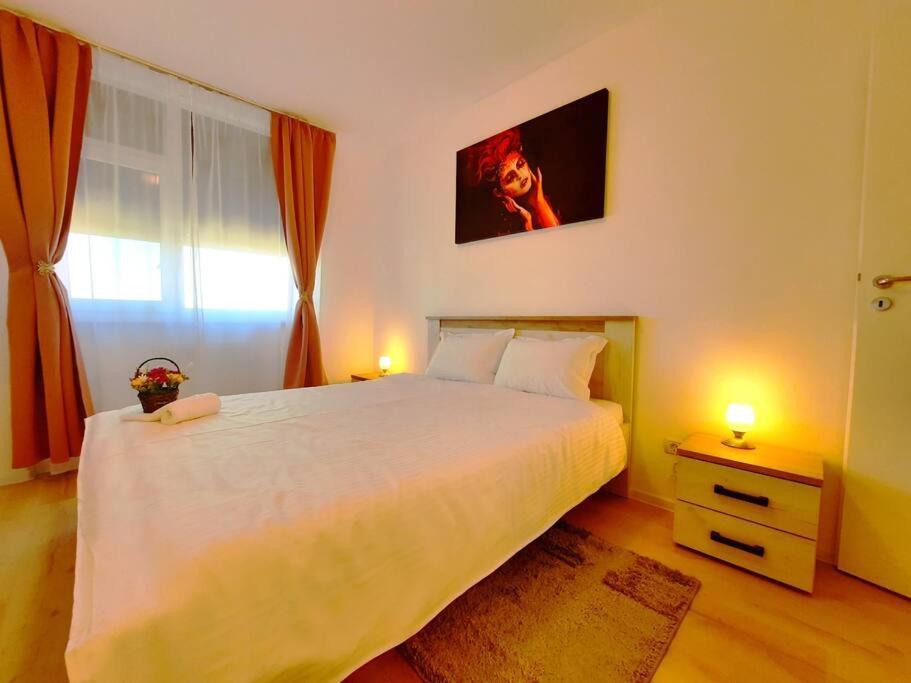 Beautiful Panoramic Central Apartment - City Of Mara Timisoara Luaran gambar