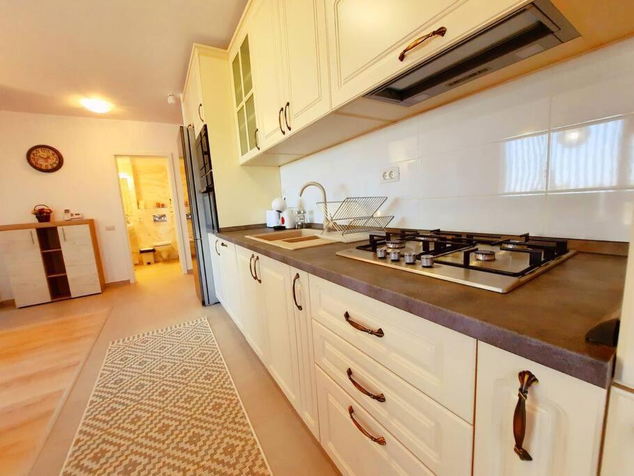 Beautiful Panoramic Central Apartment - City Of Mara Timisoara Luaran gambar