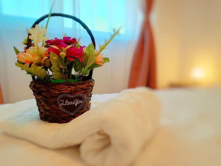 Beautiful Panoramic Central Apartment - City Of Mara Timisoara Luaran gambar