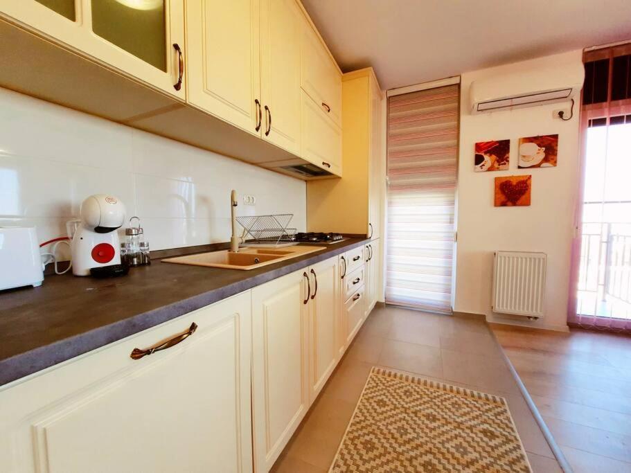 Beautiful Panoramic Central Apartment - City Of Mara Timisoara Luaran gambar